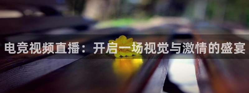 易游电竞淮阴区