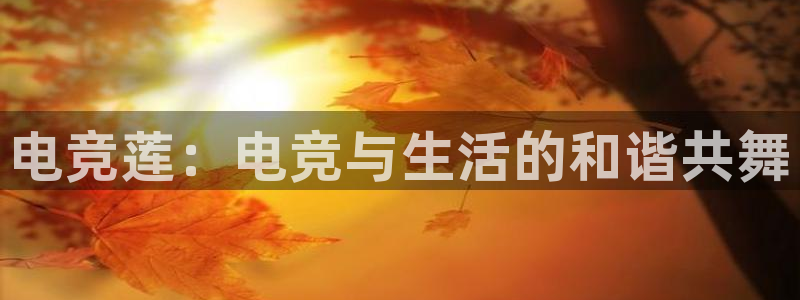 易游电竞王者荣耀大赛