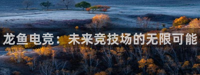 易游电竞CSGO解说