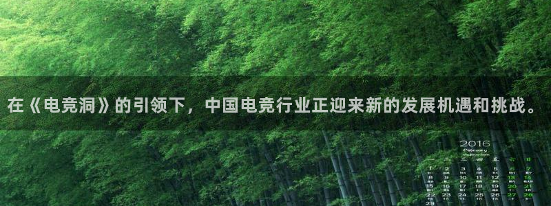 易游电竞官网：在《电竞洞》的引领下，中国电竞行业正迎来新的发展机遇和挑战。