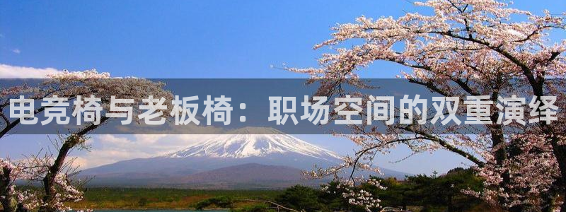 易游电竞淮阴区：电竞椅与老板椅：职场空间的双重演绎