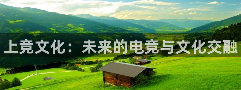 易游电竞官网：上竞文化：未来的电竞与文化交融