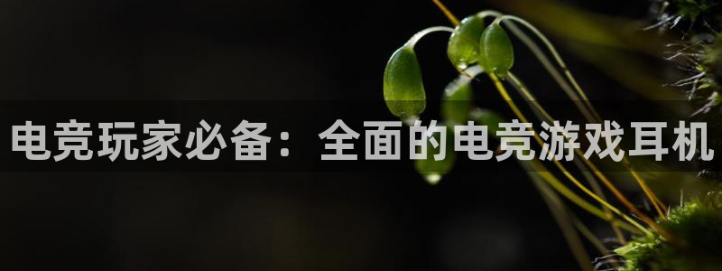 易游电竞王者荣耀大赛：电竞玩家必备：全面的电竞游戏耳机