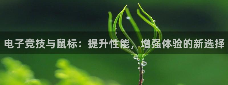 易游电竞：电子竞技与鼠标：提升性能，增强体验的新选择