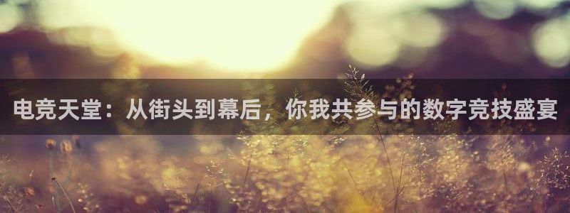 易游电竞官网
