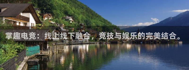 易游电竞中国区