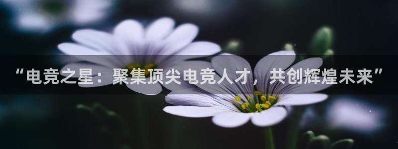 易游电竞平台