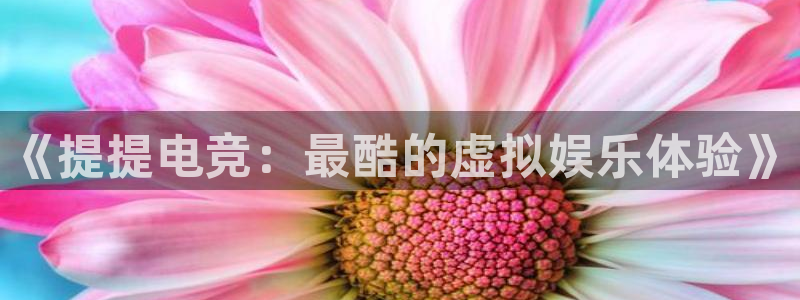 易游电竞中国区